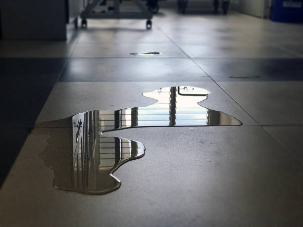 Best Water damage restoration near me  in Greensburg, LA