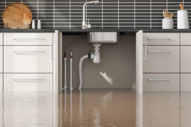 Best Residential water damage restoration  in Greensburg, LA