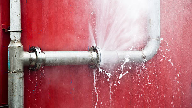 Best Flood restoration services  in Greensburg, LA