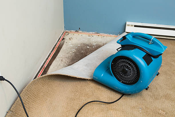Best Water damage restoration services  in Greensburg, LA
